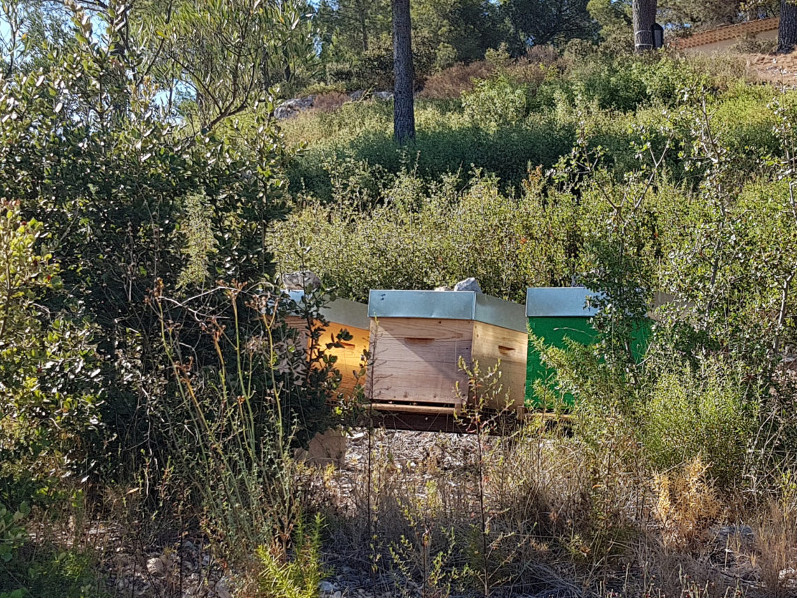 ruche abeille bouc-bel-air maison
