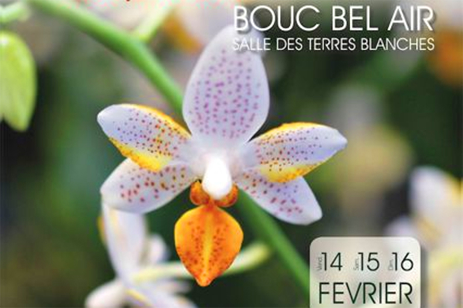 Salon International de l’Orchidée Bouc Bel Air